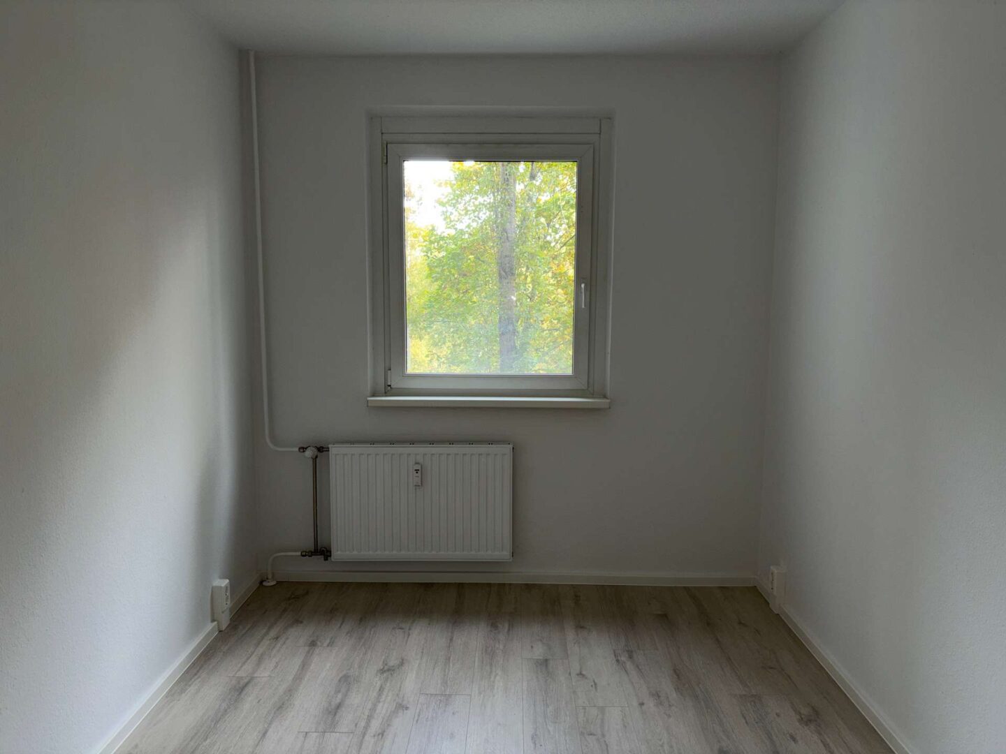Zimmer 2
