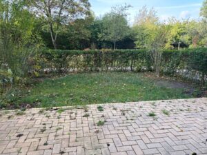 Terrasse mit Garten