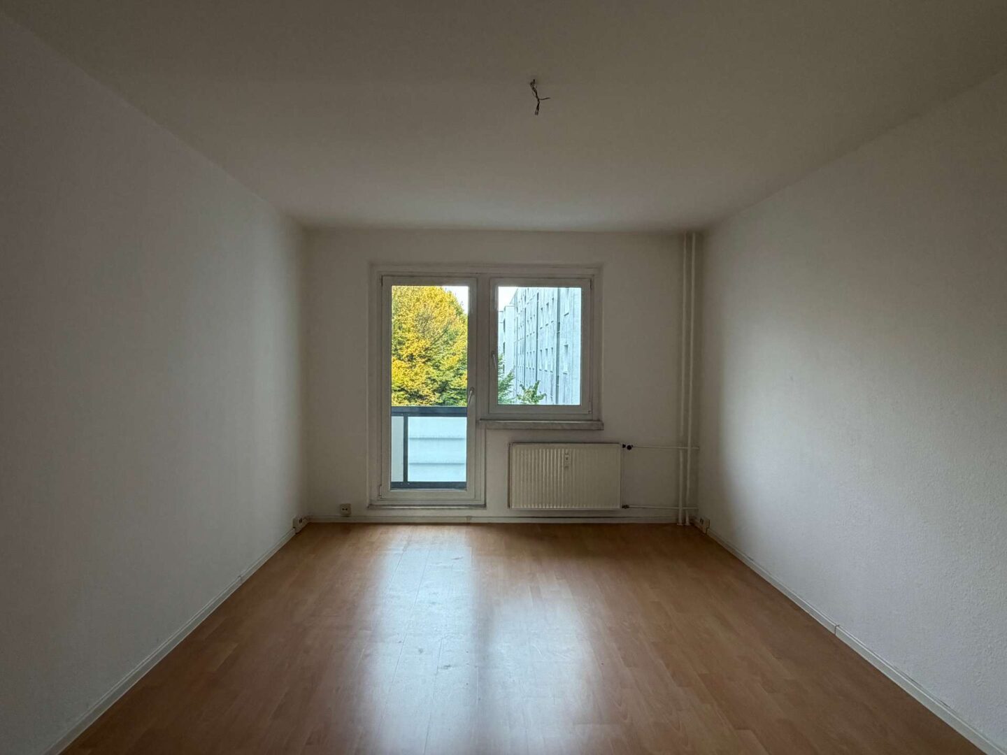 Zimmer